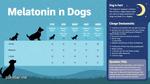Melatonin Dosage Guide for Dogs
