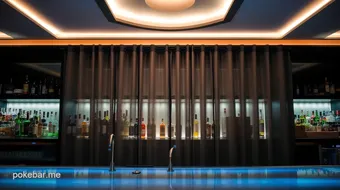 Back Bar Security Curtain for Your Business