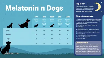 Melatonin Dosage Guide for Dogs